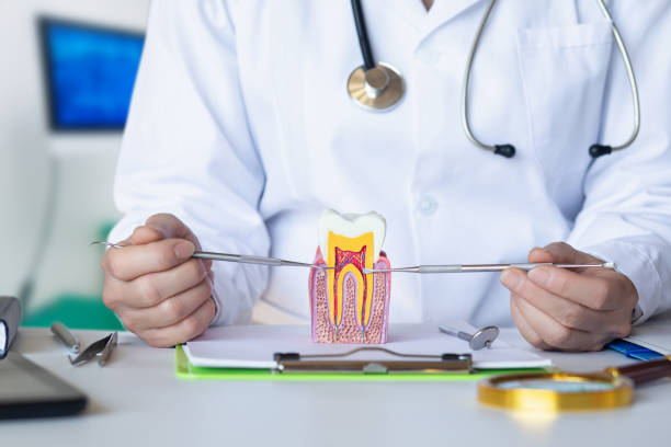 Best Broken or Cracked Tooth Emergency Dentist in Brewer, ME